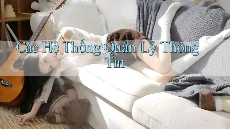 Các Hệ Thống Quản Lý Thông Tin Các Hệ Thống Quản Lý Thông Tin