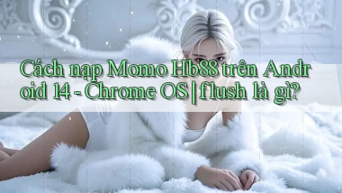 Cách nạp Momo Hb88 trên Android 14   Chrome OS flush là gì