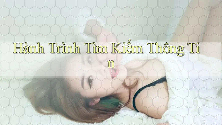 Hành Trình Tìm Kiếm Thông Tin