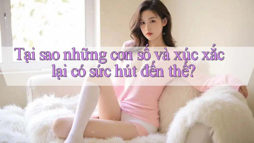 Tại sao những con số và xúc xắc lại có sức hút đến thế?